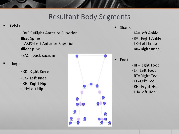 Resultant Body Segments § Pelvis -RASIS=Right Anterior Superior Illiac Spine -LASIS=Left Anterior Superior Illiac Resultant Body Segments § Pelvis -RASIS=Right Anterior Superior Illiac Spine -LASIS=Left Anterior Superior Illiac