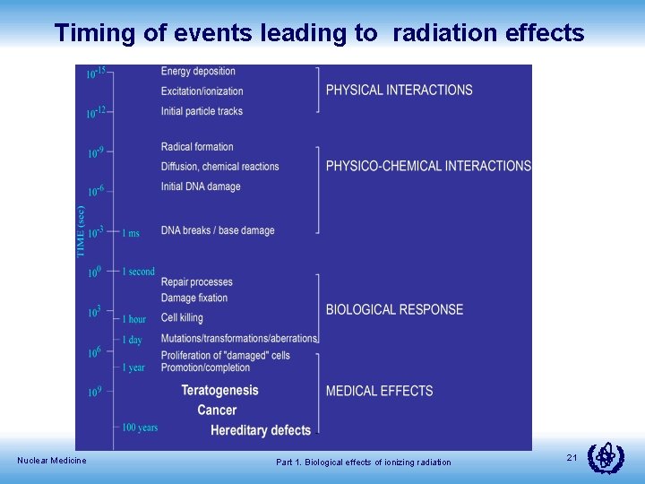 Timing of events leading to radiation effects Nuclear Medicine Part 1. Biological effects of