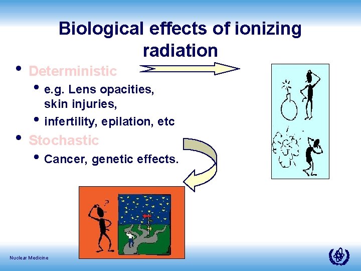 Biological effects of ionizing radiation • Deterministic • e. g. Lens opacities, • skin