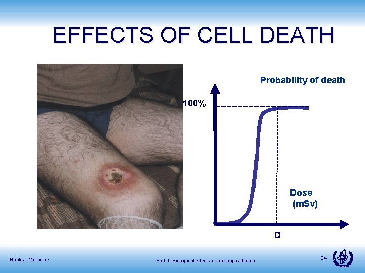 EFFECTS OF CELL DEATH Probability of death 100% Dose (m. Sv) D Nuclear Medicine