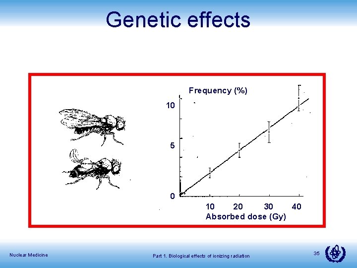 Genetic effects Frequency (%) 10 5 0 10 20 30 40 Absorbed dose (Gy)
