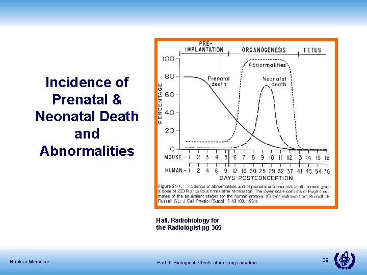 Incidence of Prenatal & Neonatal Death and Abnormalities Hall, Radiobiology for the Radiologist pg