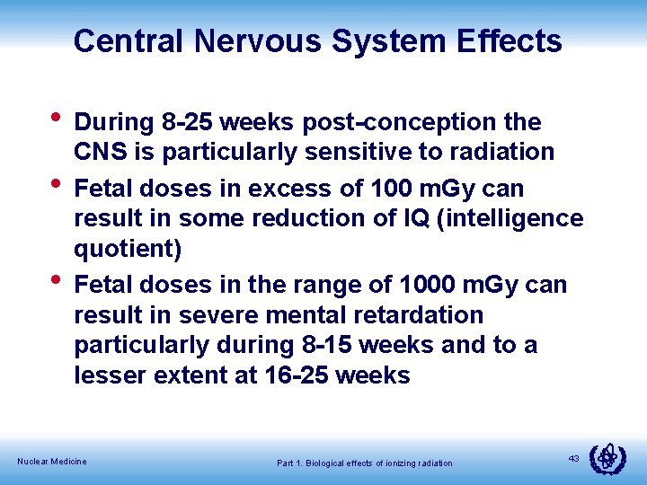 Central Nervous System Effects • During 8 -25 weeks post-conception the • • CNS