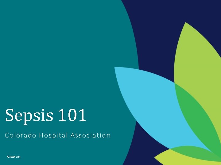 Sepsis 101 Colorado Hospital Association © 2019 CHA 