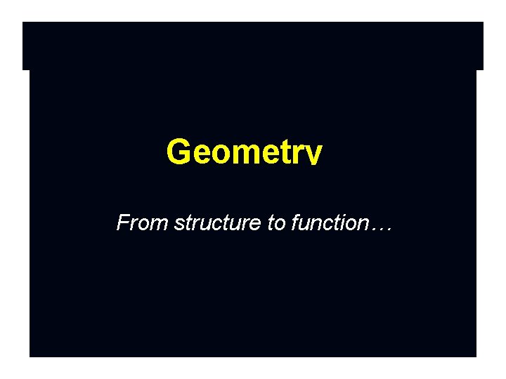 Geometry From structure to function… 