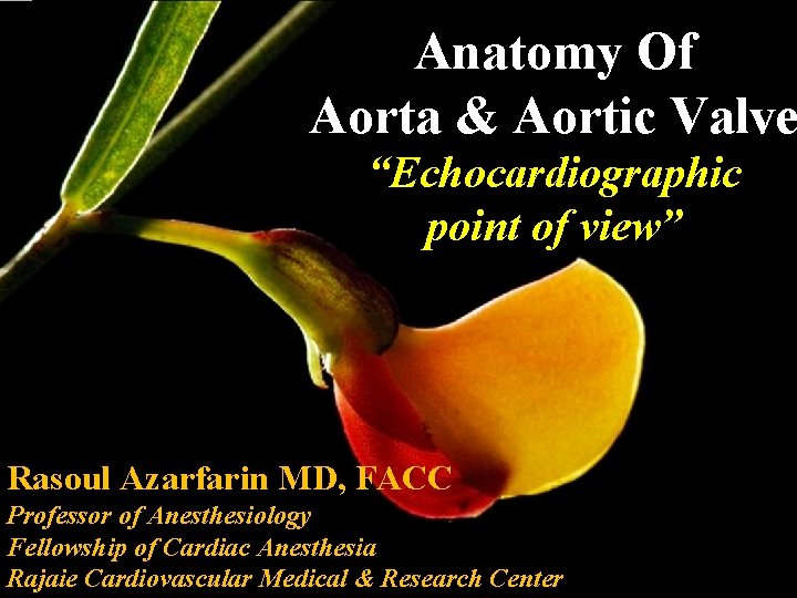 Anatomy Of Aorta & Aortic Valve “Echocardiographic point of view” Rasoul Azarfarin MD, FACC