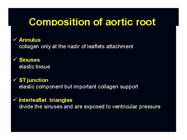 Composition of aortic root Annulus collagen only at the nadir of leaflets attachment Sinuses