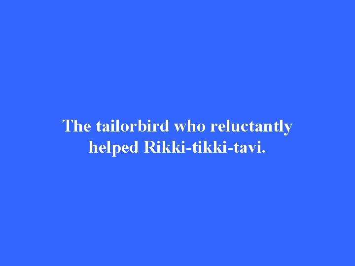 The tailorbird who reluctantly helped Rikki-tavi. 