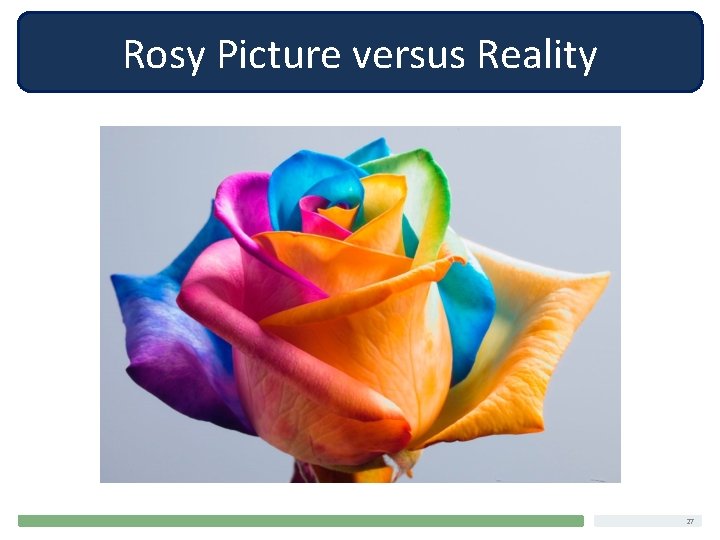 Rosy Picture versus Reality 27 