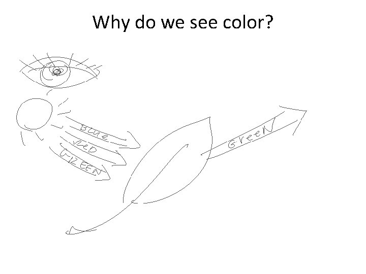Why do we see color? Why do we see color?