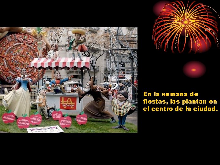 En la semana de fiestas, las plantan en el centro de la ciudad. 