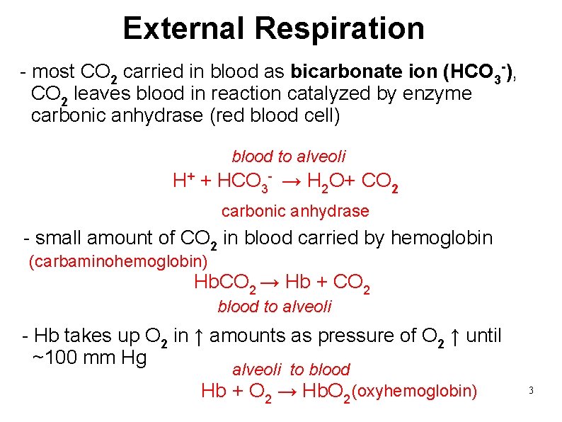 External Respiration - most CO 2 carried in blood as bicarbonate ion (HCO 3