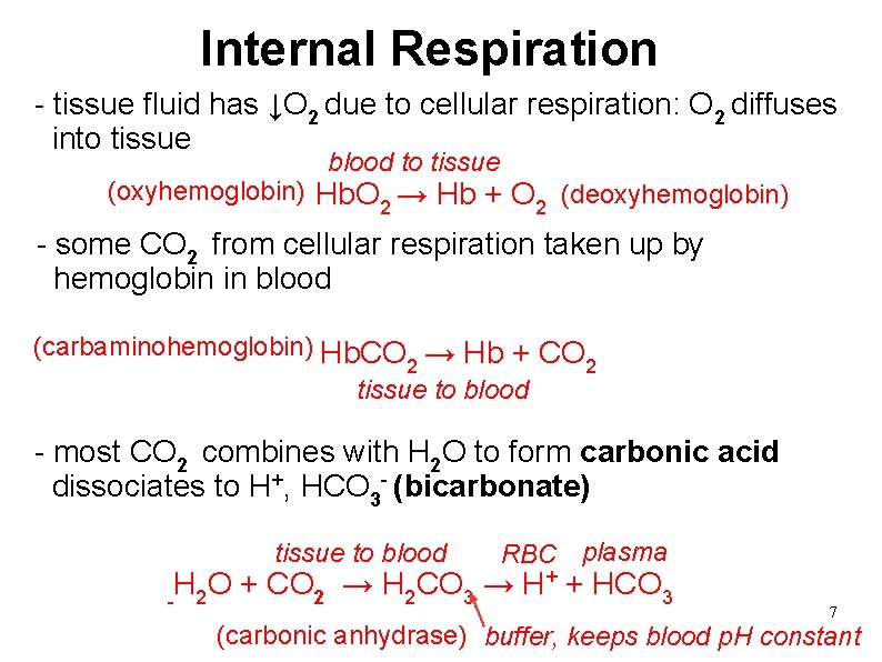 Internal Respiration - tissue fluid has ↓O 2 due to cellular respiration: O 2