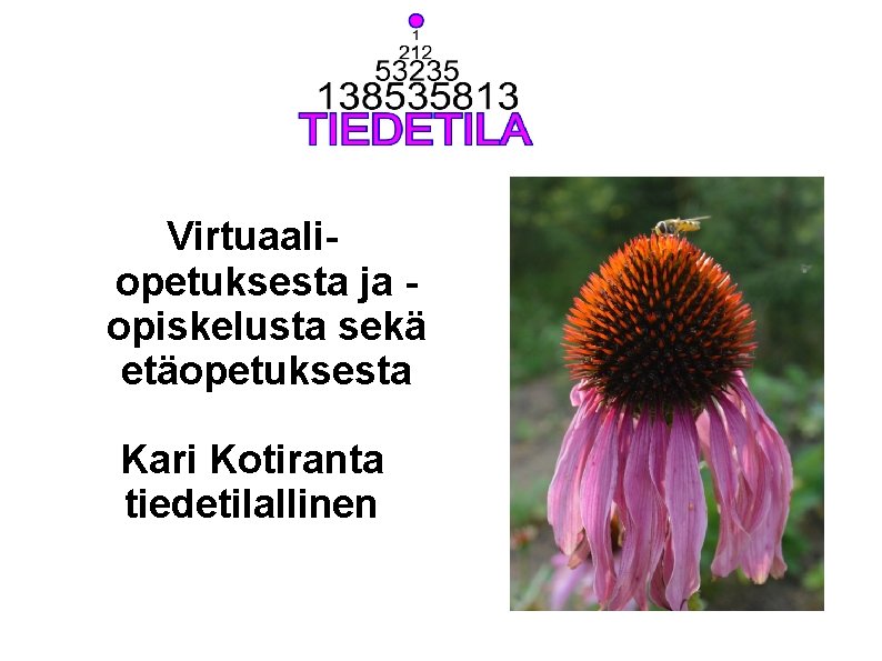 Virtuaaliopetuksesta ja opiskelusta sekä etäopetuksesta Kari Kotiranta tiedetilallinen 