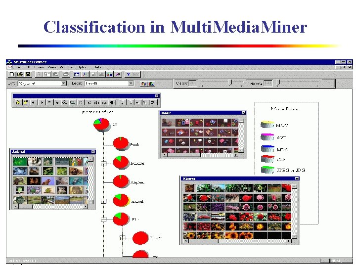 Classification in Multi. Media. Miner 1/21/2022 13 