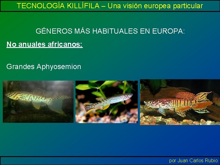 TECNOLOGÍA KILLÍFILA – Una visión europea particular GÉNEROS MÁS HABITUALES EN EUROPA: No anuales