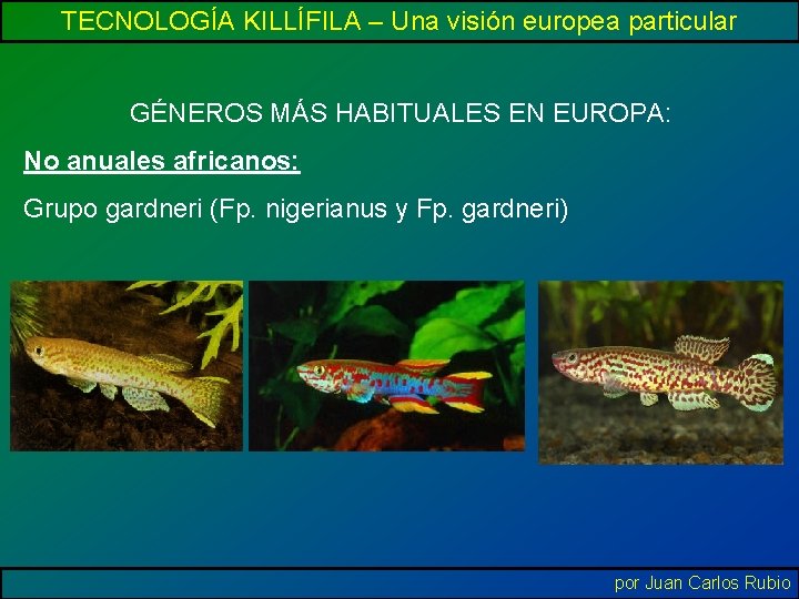 TECNOLOGÍA KILLÍFILA – Una visión europea particular GÉNEROS MÁS HABITUALES EN EUROPA: No anuales