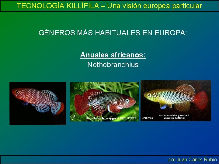 TECNOLOGÍA KILLÍFILA – Una visión europea particular GÉNEROS MÁS HABITUALES EN EUROPA: Anuales africanos: