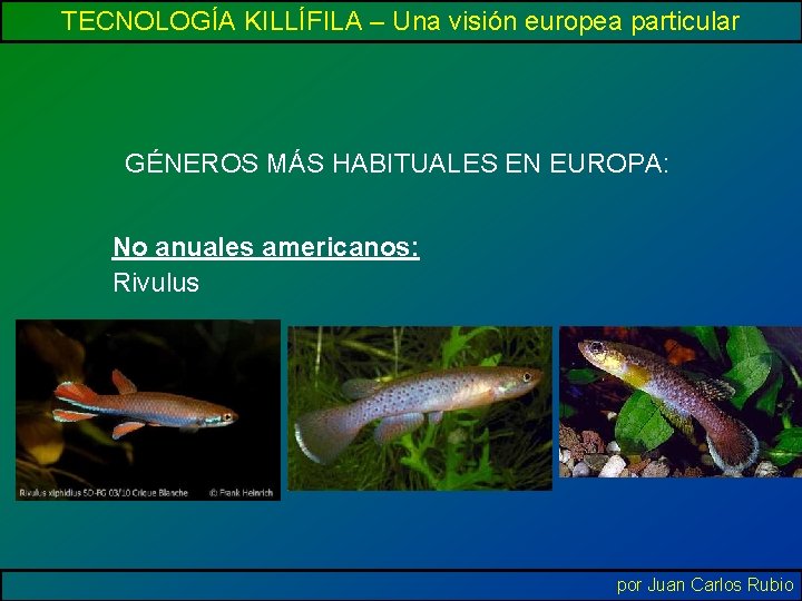 TECNOLOGÍA KILLÍFILA – Una visión europea particular GÉNEROS MÁS HABITUALES EN EUROPA: No anuales