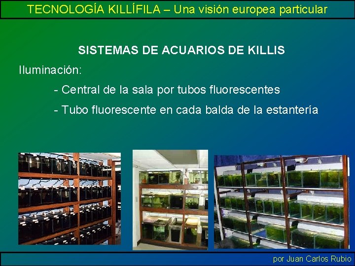 TECNOLOGÍA KILLÍFILA – Una visión europea particular SISTEMAS DE ACUARIOS DE KILLIS Iluminación: -