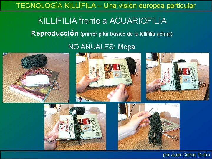 TECNOLOGÍA KILLÍFILA – Una visión europea particular KILLIFILIA frente a ACUARIOFILIA Reproducción (primer pilar