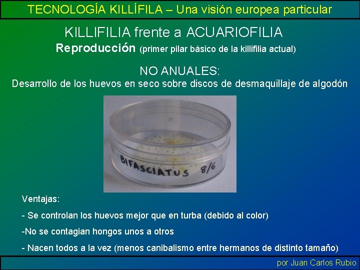 TECNOLOGÍA KILLÍFILA – Una visión europea particular KILLIFILIA frente a ACUARIOFILIA Reproducción (primer pilar