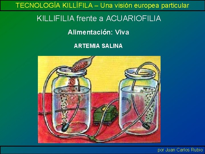 TECNOLOGÍA KILLÍFILA – Una visión europea particular KILLIFILIA frente a ACUARIOFILIA Alimentación: Viva ARTEMIA