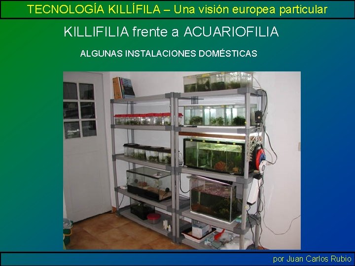 TECNOLOGÍA KILLÍFILA – Una visión europea particular KILLIFILIA frente a ACUARIOFILIA ALGUNAS INSTALACIONES DOMÉSTICAS