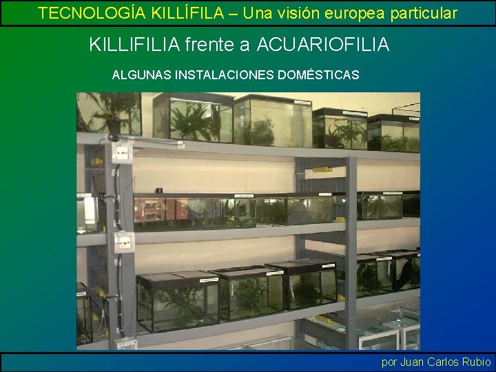 TECNOLOGÍA KILLÍFILA – Una visión europea particular KILLIFILIA frente a ACUARIOFILIA ALGUNAS INSTALACIONES DOMÉSTICAS