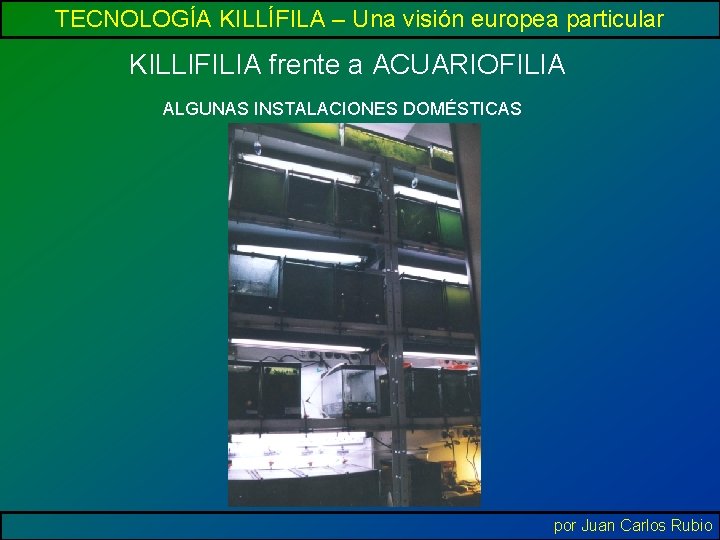 TECNOLOGÍA KILLÍFILA – Una visión europea particular KILLIFILIA frente a ACUARIOFILIA ALGUNAS INSTALACIONES DOMÉSTICAS