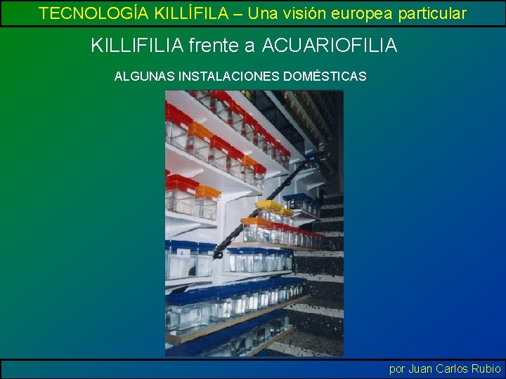 TECNOLOGÍA KILLÍFILA – Una visión europea particular KILLIFILIA frente a ACUARIOFILIA ALGUNAS INSTALACIONES DOMÉSTICAS