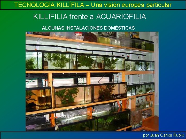 TECNOLOGÍA KILLÍFILA – Una visión europea particular KILLIFILIA frente a ACUARIOFILIA ALGUNAS INSTALACIONES DOMÉSTICAS