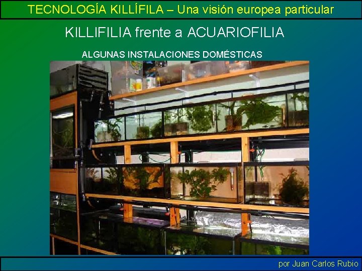 TECNOLOGÍA KILLÍFILA – Una visión europea particular KILLIFILIA frente a ACUARIOFILIA ALGUNAS INSTALACIONES DOMÉSTICAS