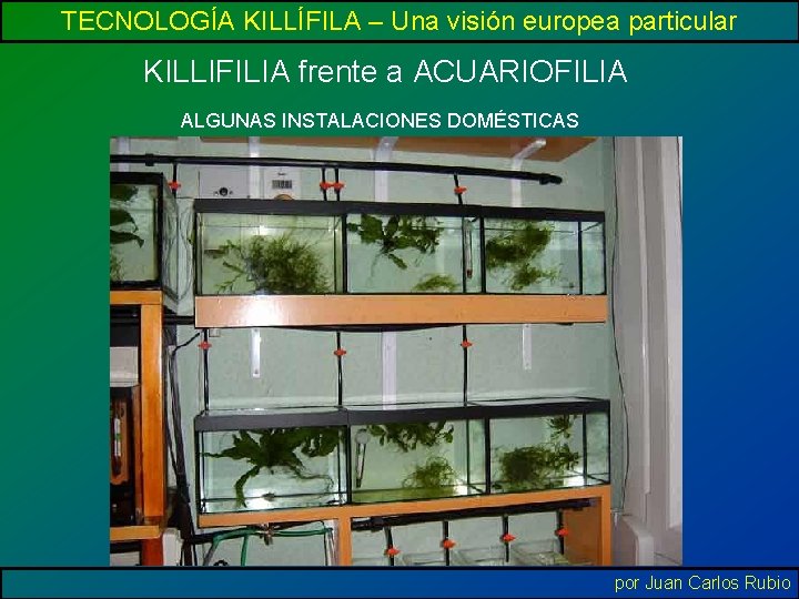 TECNOLOGÍA KILLÍFILA – Una visión europea particular KILLIFILIA frente a ACUARIOFILIA ALGUNAS INSTALACIONES DOMÉSTICAS