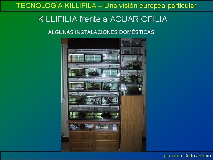 TECNOLOGÍA KILLÍFILA – Una visión europea particular KILLIFILIA frente a ACUARIOFILIA ALGUNAS INSTALACIONES DOMÉSTICAS