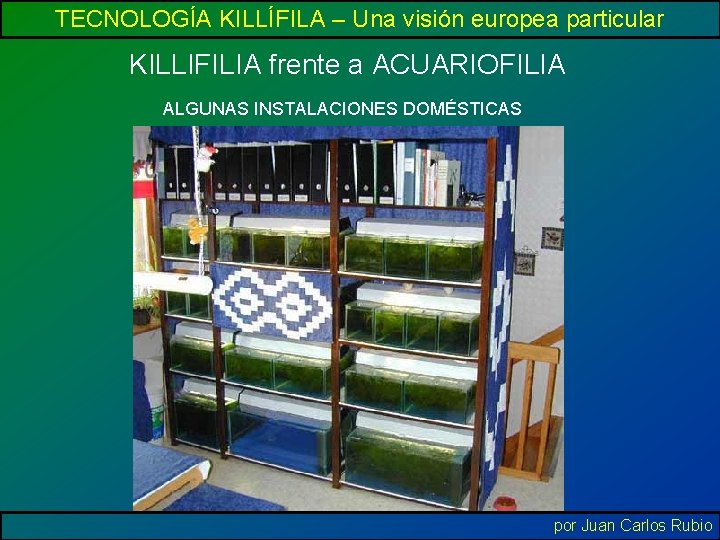 TECNOLOGÍA KILLÍFILA – Una visión europea particular KILLIFILIA frente a ACUARIOFILIA ALGUNAS INSTALACIONES DOMÉSTICAS