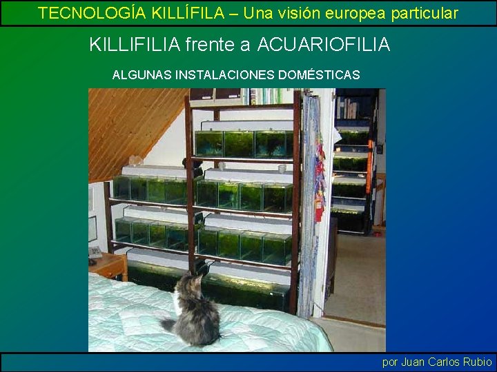 TECNOLOGÍA KILLÍFILA – Una visión europea particular KILLIFILIA frente a ACUARIOFILIA ALGUNAS INSTALACIONES DOMÉSTICAS