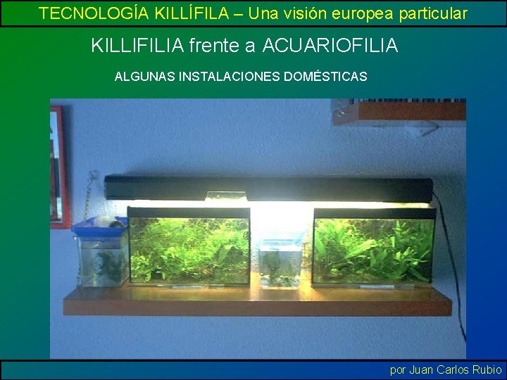 TECNOLOGÍA KILLÍFILA – Una visión europea particular KILLIFILIA frente a ACUARIOFILIA ALGUNAS INSTALACIONES DOMÉSTICAS