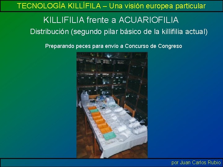 TECNOLOGÍA KILLÍFILA – Una visión europea particular KILLIFILIA frente a ACUARIOFILIA Distribución (segundo pilar