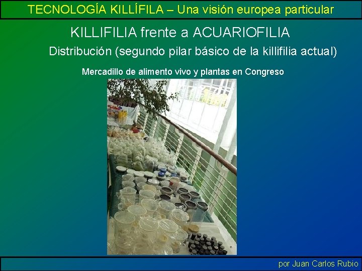 TECNOLOGÍA KILLÍFILA – Una visión europea particular KILLIFILIA frente a ACUARIOFILIA Distribución (segundo pilar