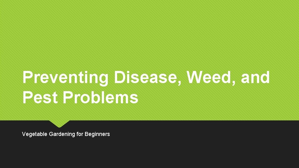 Preventing Disease, Weed, and Pest Problems Vegetable Gardening for Beginners 