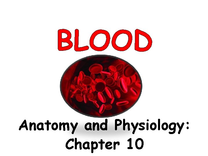 BLOOD Anatomy and Physiology: Chapter 10 