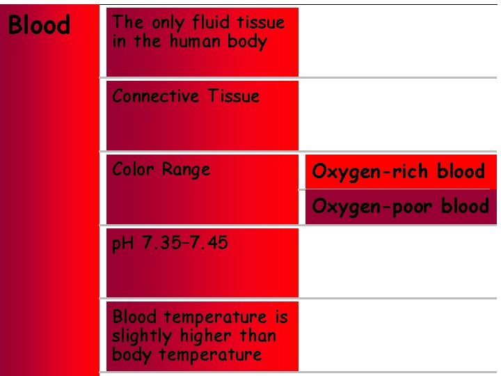 Blood The only fluid tissue in the human body Connective Tissue Color Range Oxygen-rich