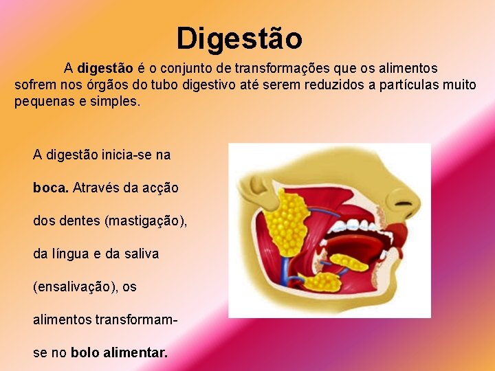Digestão A digestão é o conjunto de transformações que os alimentos sofrem nos órgãos