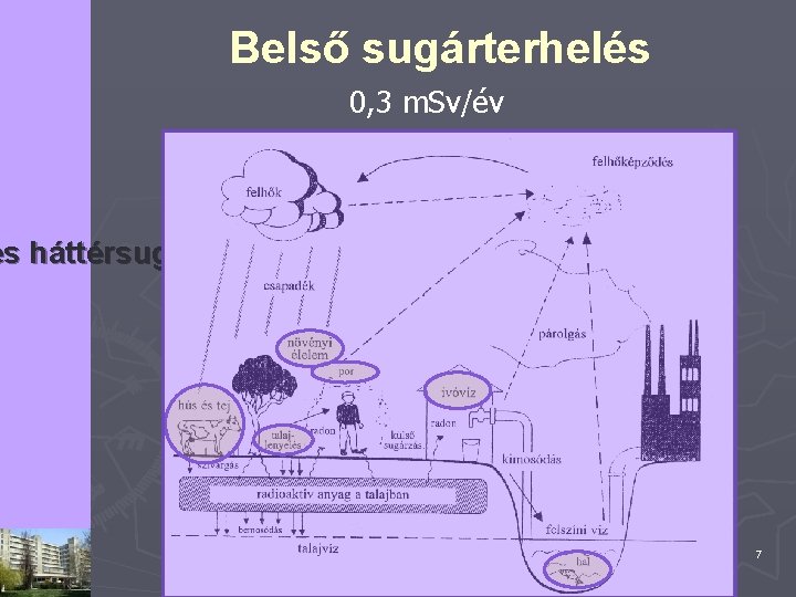 Belső sugárterhelés 0, 3 m. Sv/év es háttérsugárzás 7 