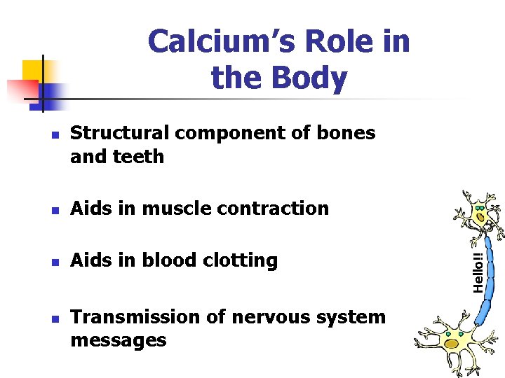 Calcium’s Role in the Body Structural component of bones and teeth n Aids in