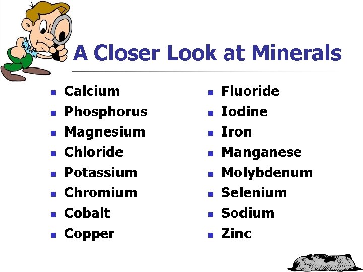 A Closer Look at Minerals n n n n Calcium Phosphorus Magnesium Chloride Potassium