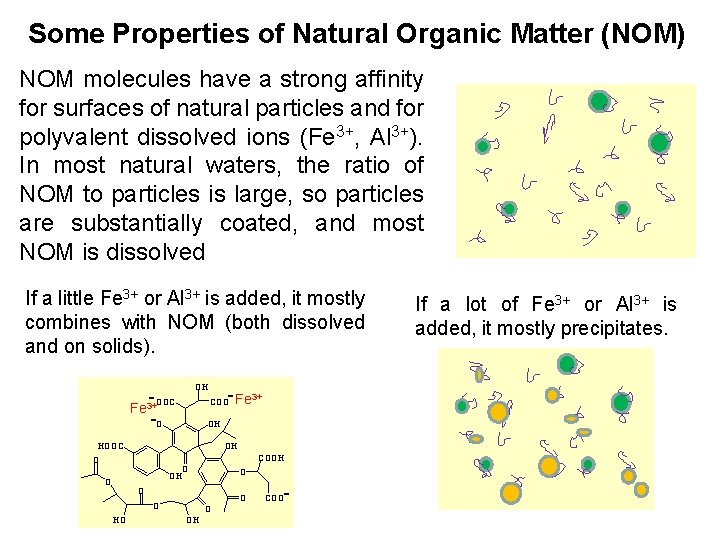 Some Properties of Natural Organic Matter (NOM) NOM molecules have a strong affinity for