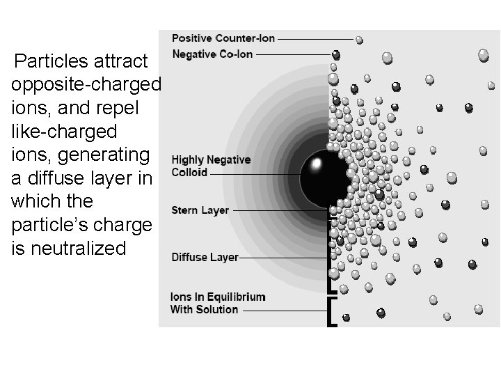 Conventional Surface Water Treatment for Drinking Water Coagulation