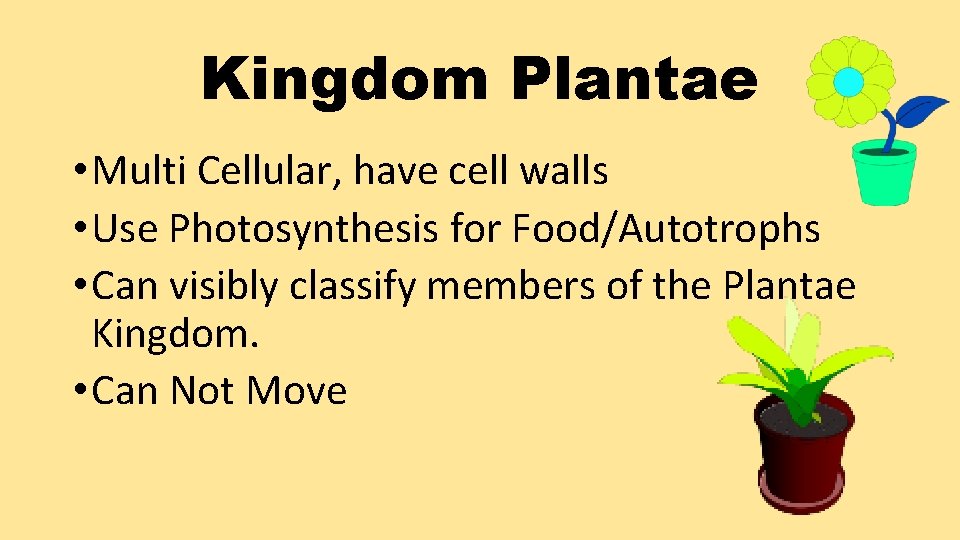 Kingdom Plantae • Multi Cellular, have cell walls • Use Photosynthesis for Food/Autotrophs •